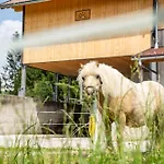 Hornergut Altenmarkt im Pongau