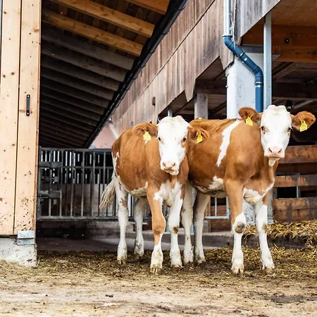 Hornergut Daire Altenmarkt im Pongau