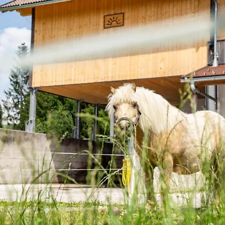 Hornergut Altenmarkt im Pongau