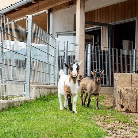 Hornergut * Altenmarkt im Pongau