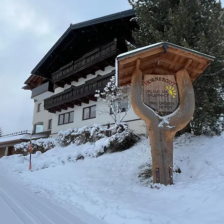 Apartment Hornergut *