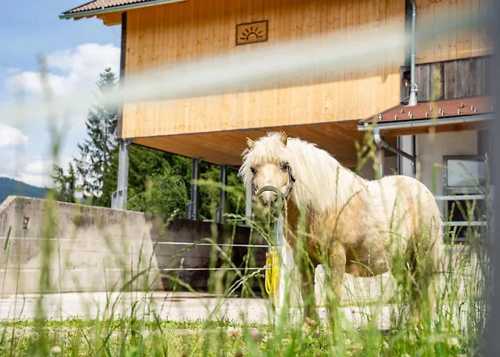 Hornergut Altenmarkt im Pongau