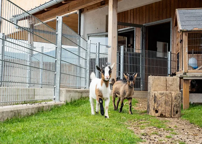 Hornergut * التنماركت ام بوناغ